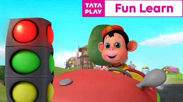 Monkey Buys A New Car